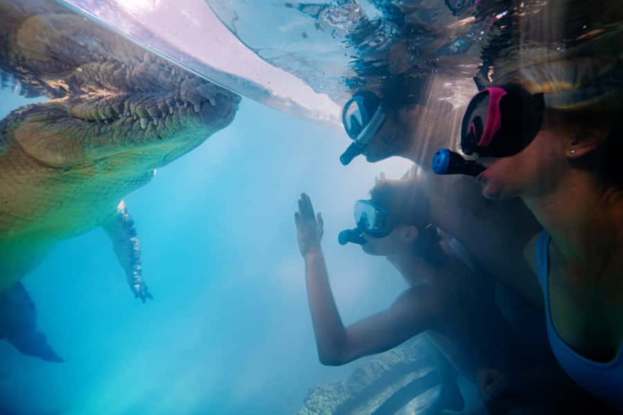 Port Douglas: Wildlife Habitat Swim with Crocodiles - Who will enjoy this most