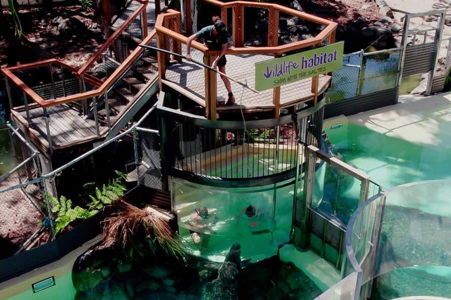 Port Douglas: Wildlife Habitat Swim with Crocodiles - What the 2.3-meter CrocArena view gives you