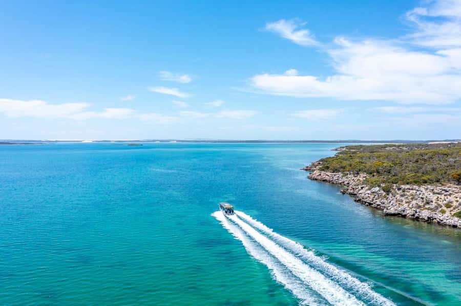 Port Lincoln: Coffin Bay Seafood, Wine, and Nature Day Trip - Seafood lunch with a view at Oyster HQ