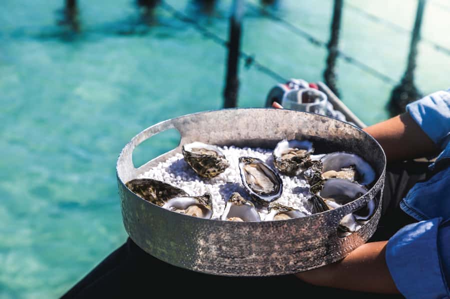Port Lincoln: Coffin Bay Seafood, Wine, and Nature Day Trip - Who should book this Coffin Bay day trip?