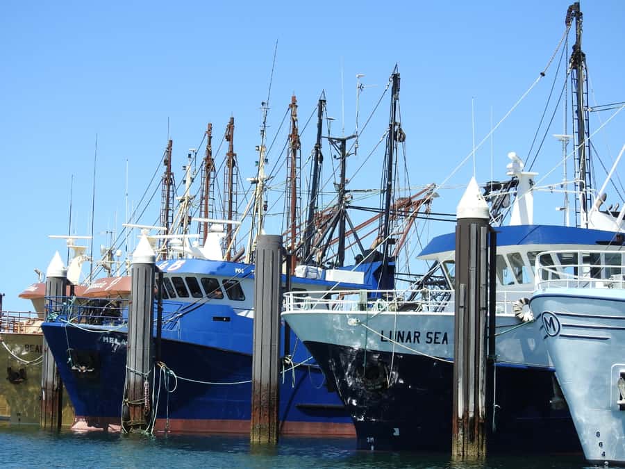 Port Lincoln Day Tour: Eyre Peninsula - Key points at a glance