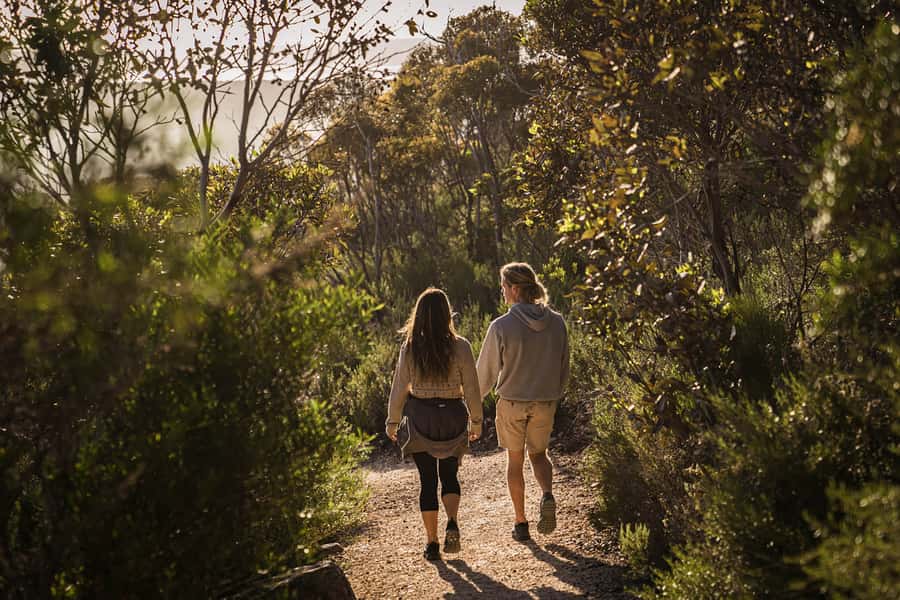 Port Lincoln Day Tour: Eyre Peninsula - The pace, vehicle, and level of effort