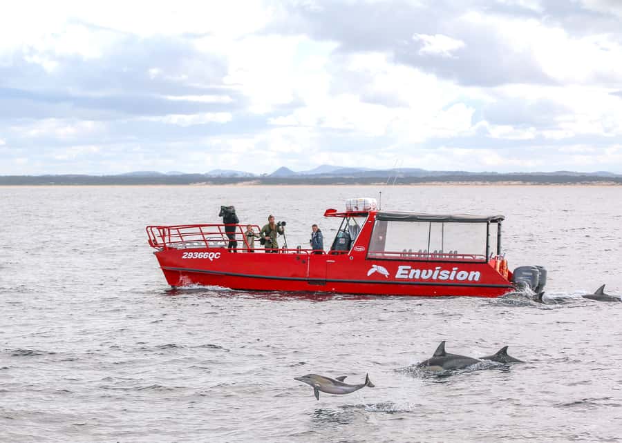 Port Stephens: 1hr Dolphin Watch Express - Key points at a glance