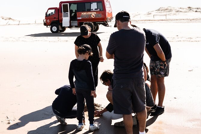 Port Stephens 4WD Beach Sand Dune Adventure - The beach ride and pipi search