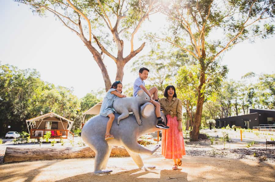 Port Stephens: Koala Sanctuary General Admission Ticket - What you are likely to see, and what you may not