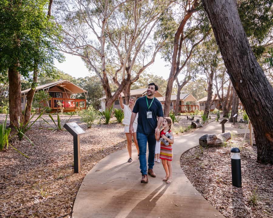 Port Stephens: Koala Sanctuary General Admission Ticket - Starting with the 250m Sanctuary Story Walk