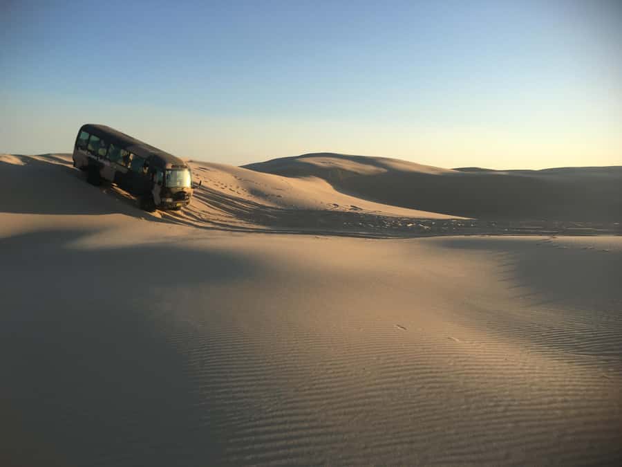 Port Stephens: Unlimited Sandboarding with 4WD Dune Transfer - Choosing between sit-down and stand-up boards