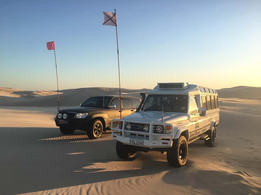 Port Stephens: Unlimited Sandboarding with 4WD Dune Transfer - What the outing feels like for families