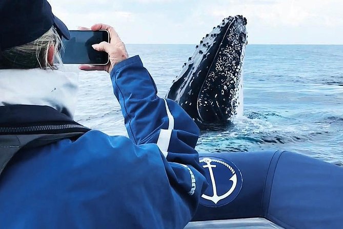 Premier Whale Watching Byron Bay - Ballina, not Byron Bay, is where your morning begins