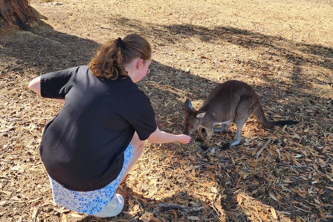 Premium Adelaide Hills Cleland Wildlife and Hahndorf Minibus Tour - Melba’s Chocolate, a sweet half-hour stop