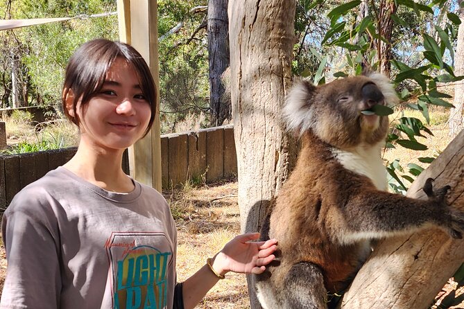 Premium Adelaide Hills Cleland Wildlife and Hahndorf Minibus Tour - Is the $179.31 price fair?