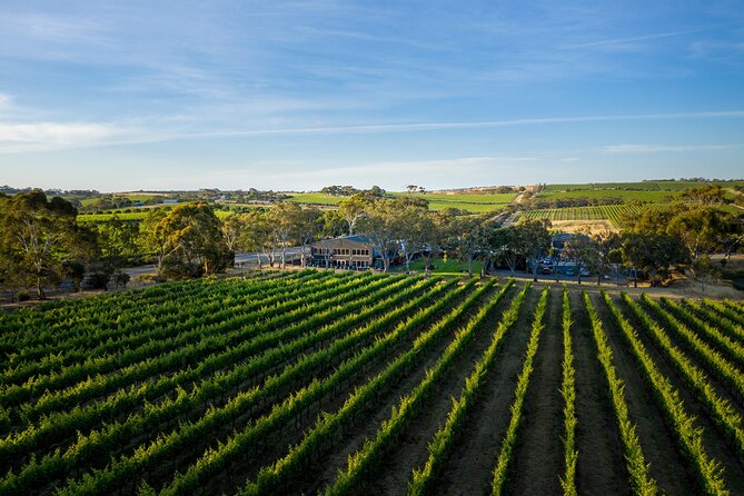 Premium All-Inclusive McLaren Vale Wine and Brew Minibus Tour - What the included price really covers