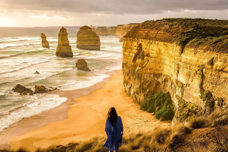 Premium Great Ocean Road Reverse Tour 13Pax Max Hotel PickUP - Wildlife stops depend on luck and timing