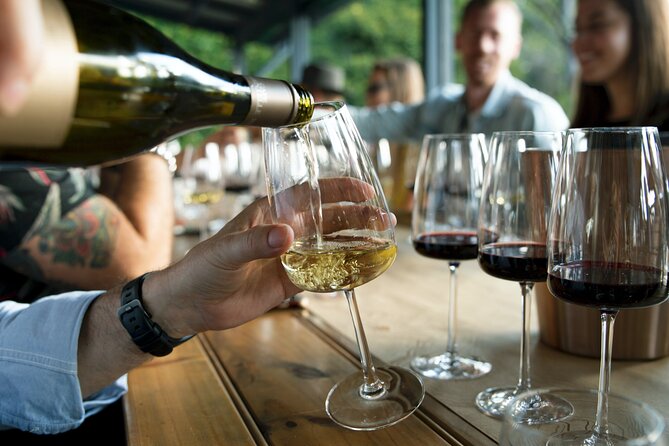 Premium Hunter Valley Wine Tour with Lunch from Sydney - Lunch in Pokolbin with a glass included