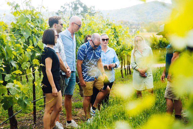 Premium Hunter Valley Wine Tour with Lunch from Sydney - Hunter Valley Gardens and time to walk around