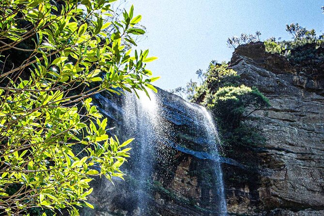 Private Blue Mountains Escape The Crowds Mercedes Tour - Leura and Katoomba for lunch and local character