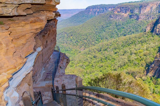Private Blue Mountains Escape The Crowds Mercedes Tour - Wentworth Falls and a rainforest walk