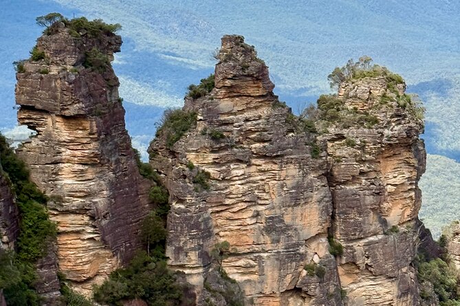 PRIVATE Blue Mountains tour & Koalas, Kangaroos, Cruise plus more - Wentworth Falls and the eucalyptus forest