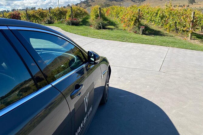 Private Canberra Winery Tour with lunch - Lunch at a vineyard, with pizza at the center