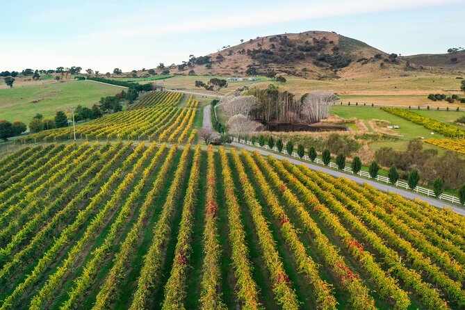 Private Canberra Winery Tour with lunch - A guide who makes the region easier to understand