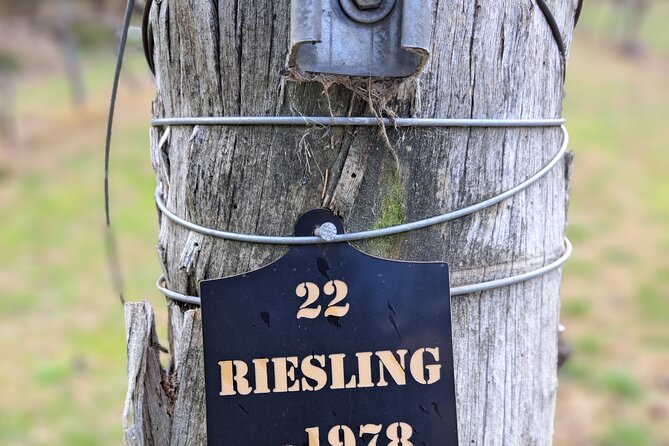 Private Canberra Winery Tour with lunch - What the private format changes