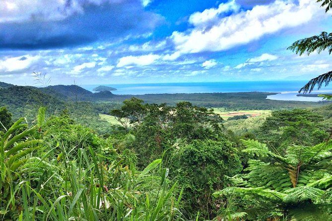 Private Cape Tribulation & Mossman Gorge Day Tour - Why this private day makes sense from Cairns