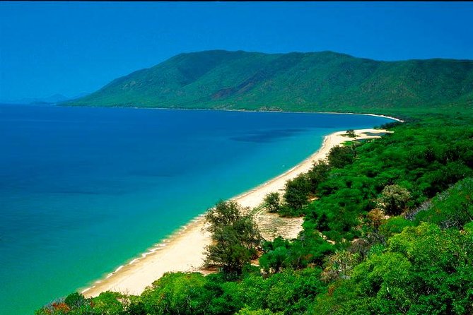 Private Cape Tribulation & Mossman Gorge Day Tour - What the private format really adds