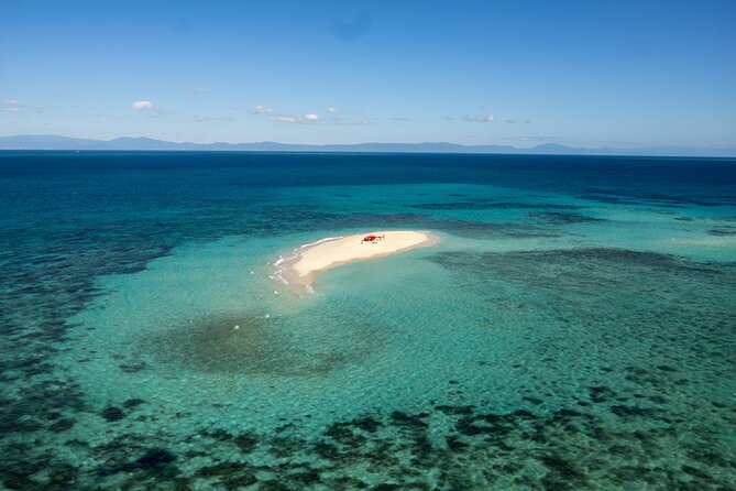 Private Helicopter Tour: Reef Island Snorkeling and Gourmet Picnic Lunch - Why the helicopter makes the reef easier to enjoy