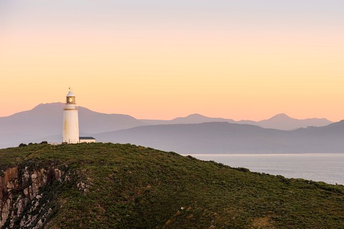 Private Wine and Beverage Tours in Tasmania - Coal River: a compact wine-focused option