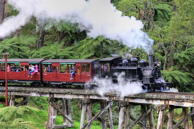 Puffing Billy And Healesville Sanctuary Scenic Tour - Key points to know before you book