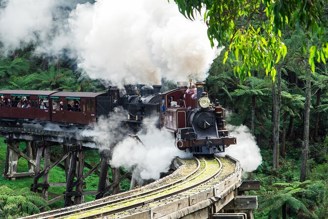 Puffing Billy And Phillip Island Penguin Parade Bus Tour - What makes this day worth considering