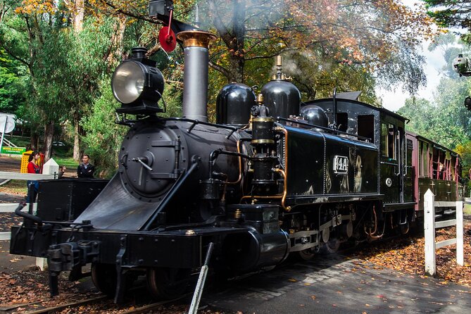Puffing Billy And Phillip Island Penguin Parade Bus Tour - A full day from Melbourne to the coast
