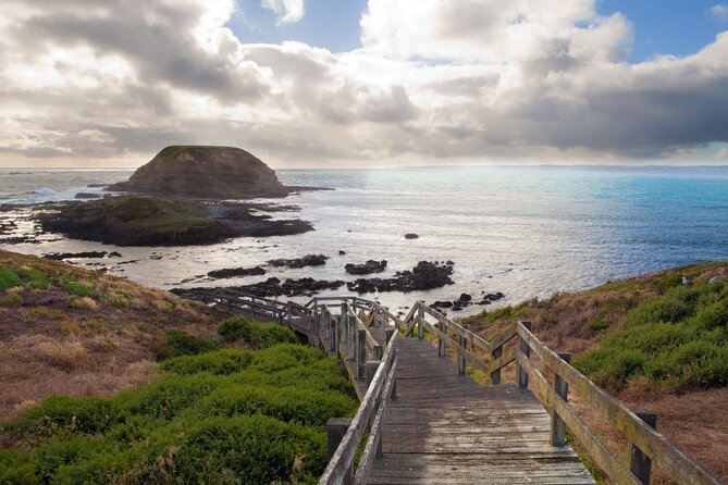 Puffing Billy And Phillip Island Penguin Parade Bus Tour - The guides can shape the whole day
