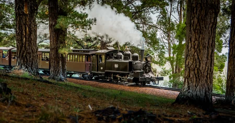 Puffing Billy Railway: Heritage Steam Train Journey - Emerald Lake Park and the Lakeside Visitor Centre
