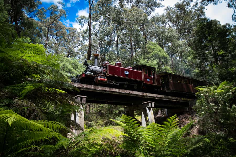 Puffing Billy Railway: Heritage Steam Train Journey - Volunteers, Safety, and the Human Side of Puffing Billy