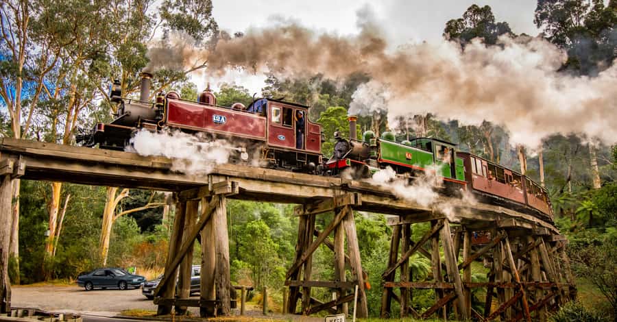 Puffing Billy Railway: Heritage Steam Train Journey - Who Will Enjoy This Train Ride Most?