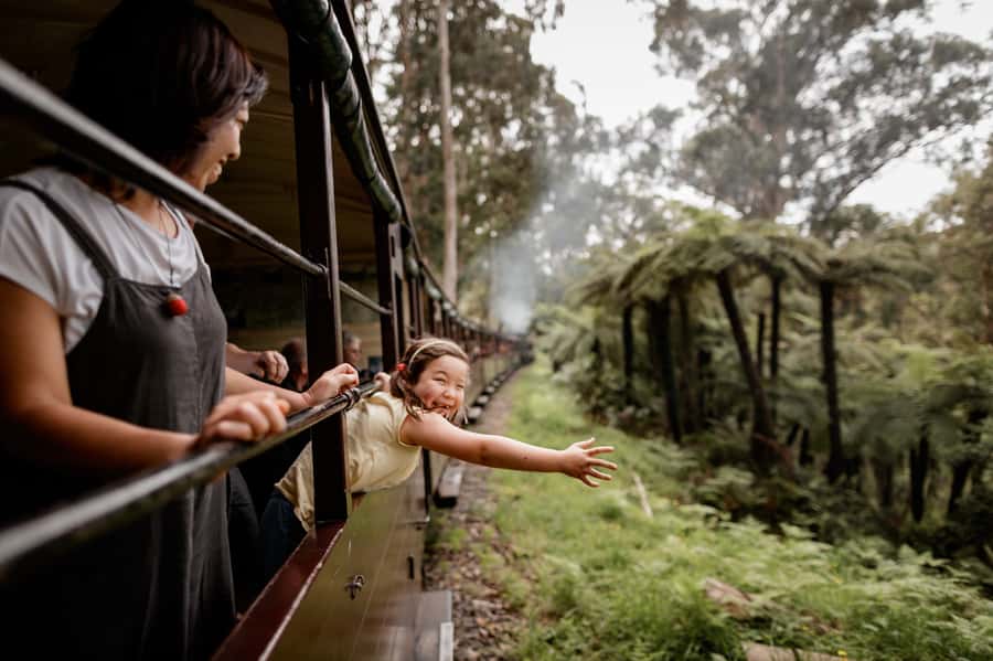 Puffing Billy Railway: Heritage Steam Train Journey - What the Journey Feels Like on Board