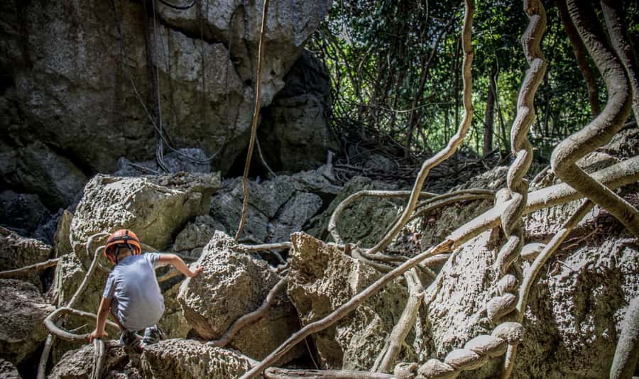 Queensland: 90 Minute Capricorn Caves Explorer Tour - Key points to know before you book