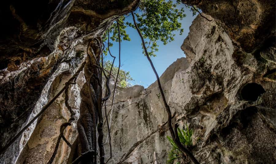 Queensland: 90 Minute Capricorn Caves Explorer Tour - Deep Vault Cave and its cathedral-like interior