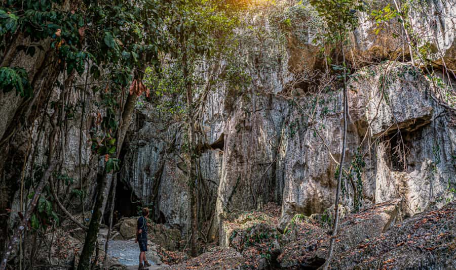 Queensland: 90 Minute Capricorn Caves Explorer Tour - Wildlife spotting in the darker passages