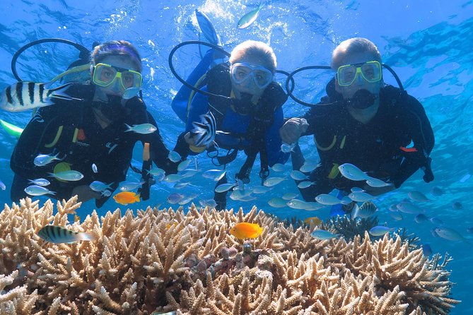 Quicksilver Great Barrier Reef Snorkel Cruise from Port Douglas - Optional activities and their real value