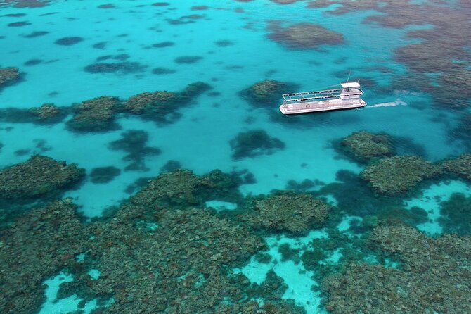 Quicksilver Great Barrier Reef Snorkel Cruise from Port Douglas - Lunch, tea, and what is included