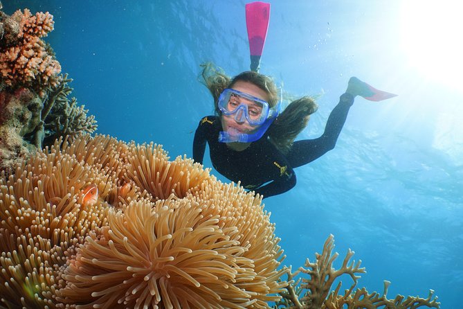Quicksilver Great Barrier Reef Snorkel Cruise from Port Douglas - How busy does it feel?