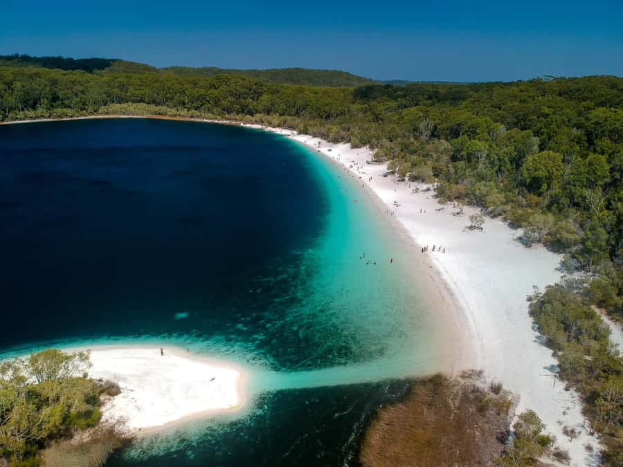 Rainbow Beach: 3-Day K'gari (Fraser Island) 4WD Adventure - Lake Wabby and the final morning