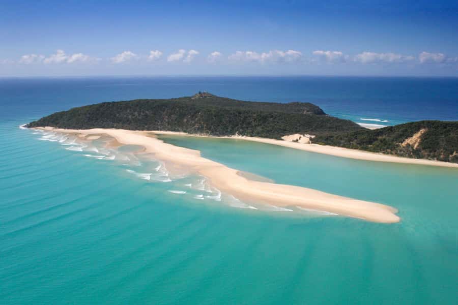 Rainbow Beach: Kayaking with Dolphins and Beach 4WD Tour - Dolphins, turtles, whales, and the luck factor