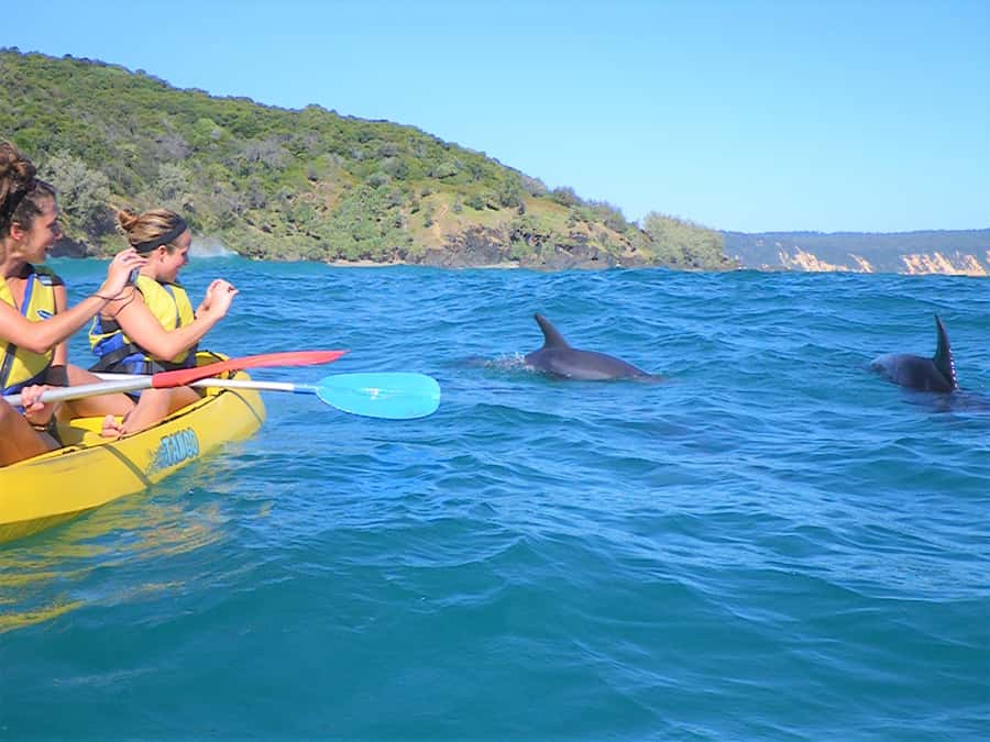 Rainbow Beach: Kayaking with Dolphins and Beach 4WD Tour - Double Island Point from the water