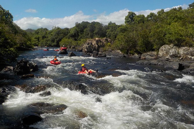 Rainforest River Tubing from Cairns - Is A$68.14 good value?