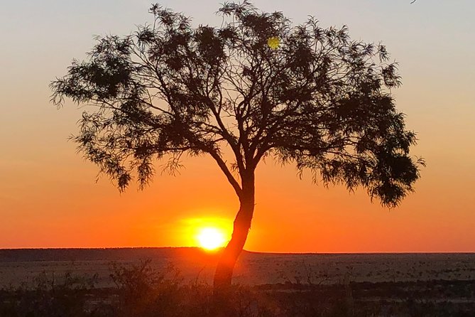 Rangelands Rifts and Sunset Tour Winton - What the guides add to the outing