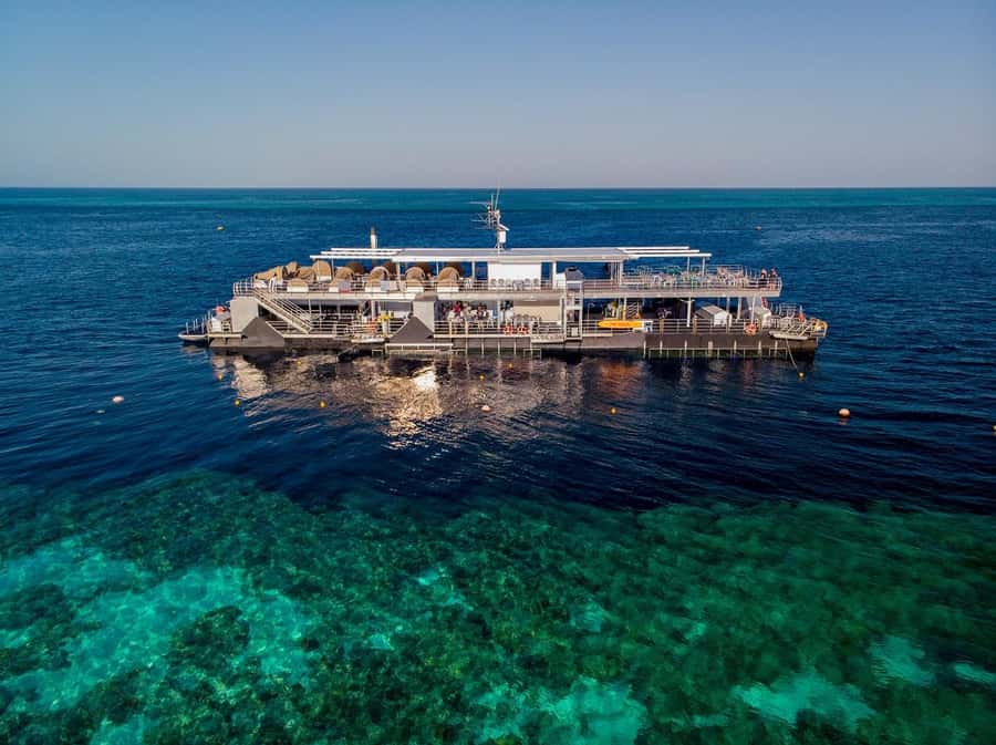 Reef Sleep: 2-Day Great Barrier Reef Pontoon & Gourmet Meals - The three-hour ride from Queensland to Hardy Reef