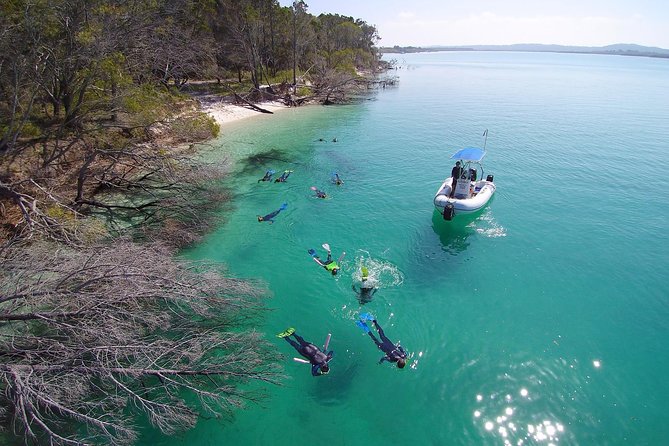 Remote Fraser Island Experience - Buffet lunch and a second creek stop